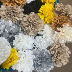 CLAVELES GRANDES BLANCO A NEGRO